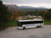Group Tours